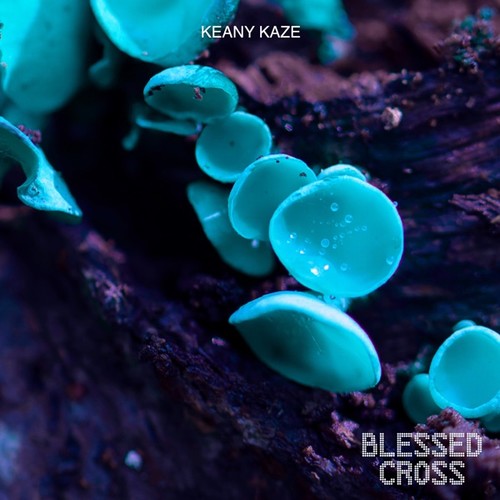 Keany kaze - Astral Mycelium